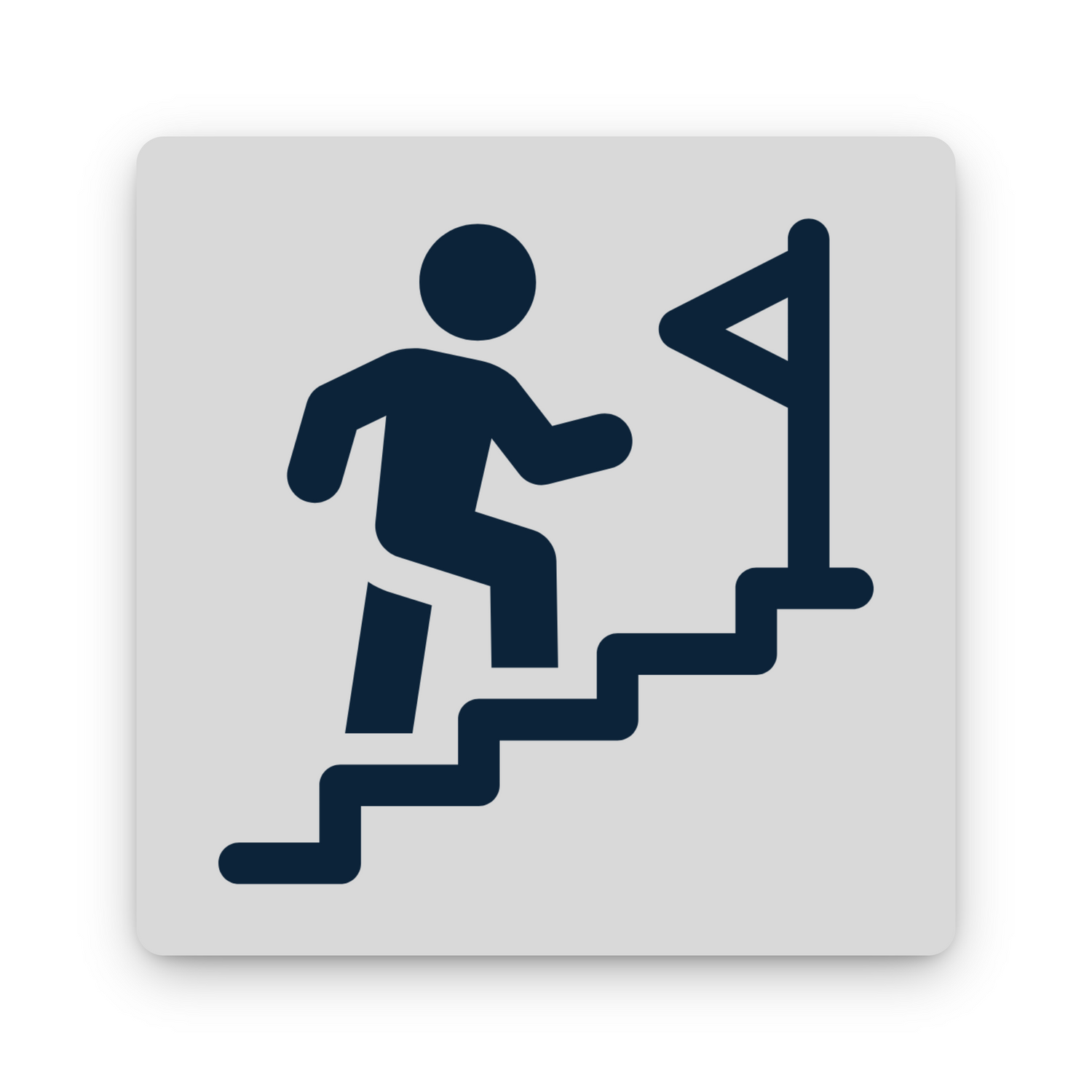 Desarrollo y Carrera